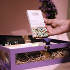 Purple Acrylic